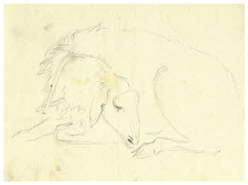 Visualizza l'immagine "FD D 1923"